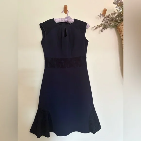 NWT Nanette Lepore Navy Lace Panel Sheath Dress Size 6 Career Work - Picture 2 of 9